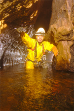 Thumbnail of photo from this article